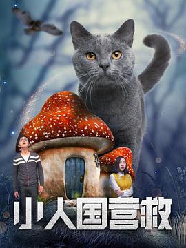 亚洲高清视频一区