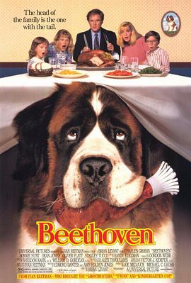 日韩免费精品一级毛片