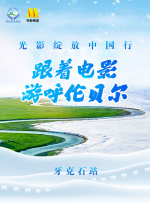久久成人国产精品